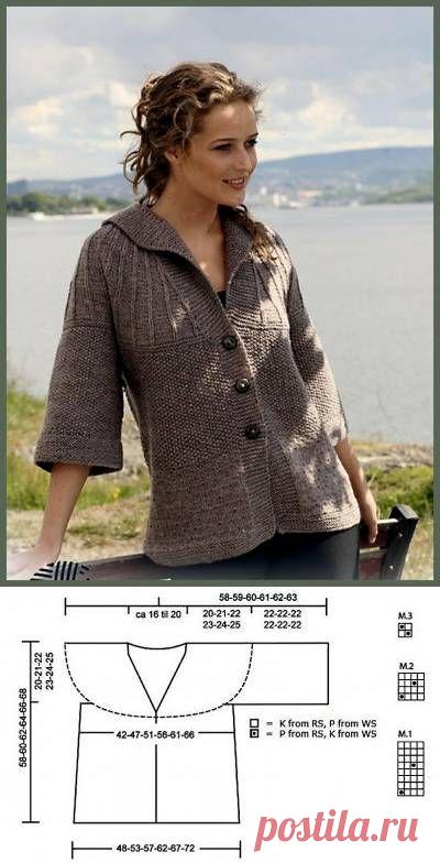 Вяжем жакет с рукавом реглан спицами - 22 Октября 2010 - Вязание спицами, модели и схемы для вязания на спицах