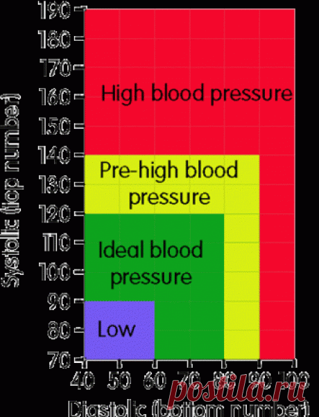 Blood Pressure : Blood pressure chart