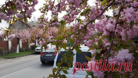Ужгород сегодня