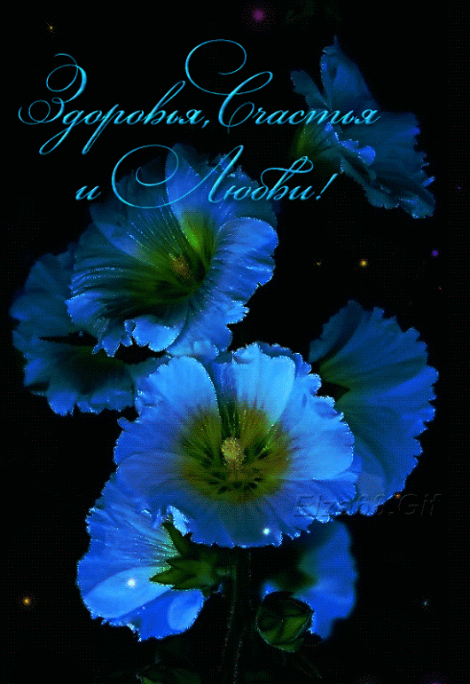 Фото – Google+