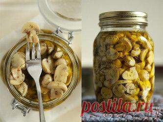 Маринад для любых грибов. 1 литр воды;  2 ст. л. сахара;  4 ч. л. соли;  3 шт. лаврового листа;  6 горошин душистого перца;  4 шт. гвоздики;  3 кусочка корицы (молотой ½ ч. л.) ;  3 ч. л. уксусной эссенции 70 %. При использовании столового 5% уксуса необходимо взять 800 мл воды и 200 мл 5% уксуса. При использовании 9% уксуса — 890 мл воды и 110 мл 9% уксуса. ПРИГОТОВЛЕНИЕ: Вскипятить воду, добавить специи, проварить минутки три (уксус добавить в самом конце варки) , снять с огня. Маринад готов.
