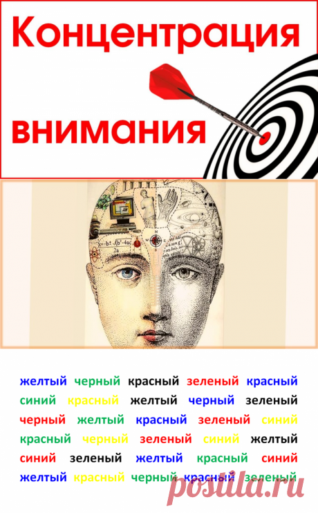 Концентрация внимания. Развитие концентрации внимания у взрослых и детей