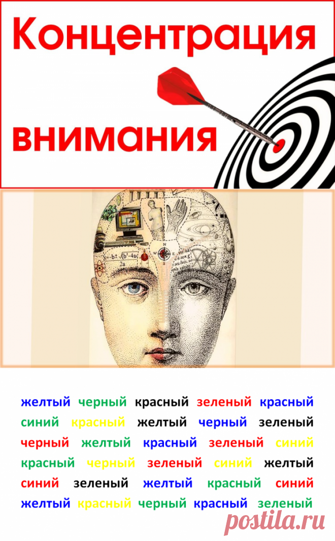 Концентрация внимания. Развитие концентрации внимания у взрослых и детей