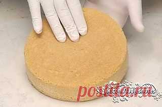 Как приготовить бисквит (основные рецепты) | Женский журнал