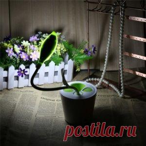 Дачный участок