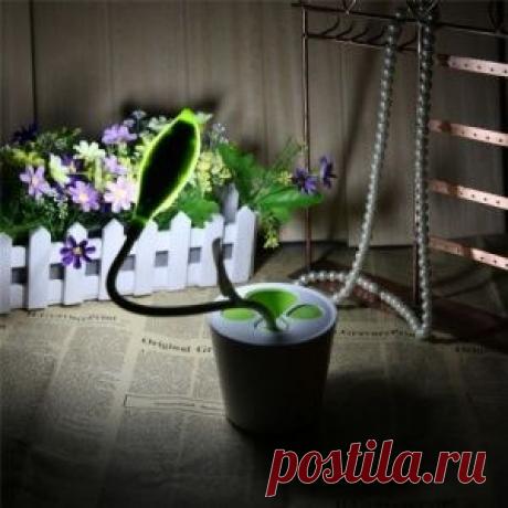 Дачный участок