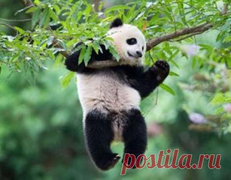 MSN Россия: новости, знаменитости, спорт, образ жизни, авто, Skype, Outlook и многое другое.