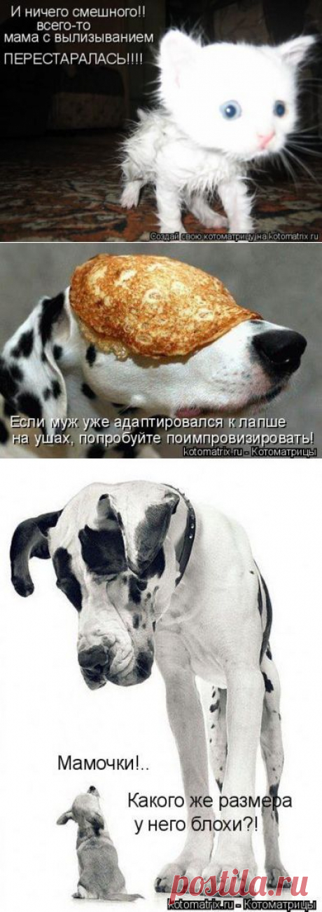 Для хорошего настроения :)
