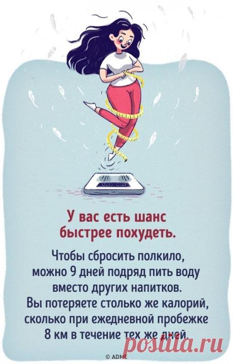 Что будет, если все напитки заменить водой