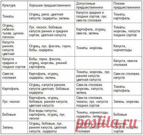 Таблица чередования посевов овощей в огороде

Из севооборота овощей можно извлечь выгоду. Это и защита растений от вредителей и болезней, и сохранение плодородия почвы. Но недостаточно просто менять овощи местами от сезона к сезону, нужно учитывать, какие предшественники наиболее полезны для каждой овощной культуры.

При севообороте соблюдаем правило: не сеять одну и ту же культуру второй год на старое место. Это относится и к представителям одного и того же семейства куль...