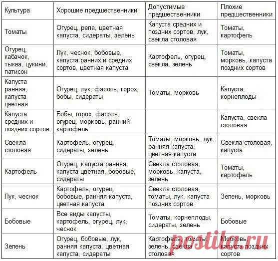 Таблица чередования посевов овощей в огороде

Из севооборота овощей можно извлечь выгоду. Это и защита растений от вредителей и болезней, и сохранение плодородия почвы. Но недостаточно просто менять овощи местами от сезона к сезону, нужно учитывать, какие предшественники наиболее полезны для каждой овощной культуры.

При севообороте соблюдаем правило: не сеять одну и ту же культуру второй год на старое место. Это относится и к представителям одного и того же семейства куль...