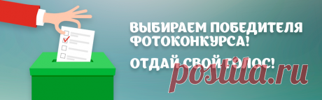Интернет магазин семян|Семена почтой |Продажа семян Нижний Новгород - Агросемфонд