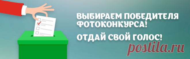 Интернет магазин семян|Семена почтой |Продажа семян Нижний Новгород - Агросемфонд