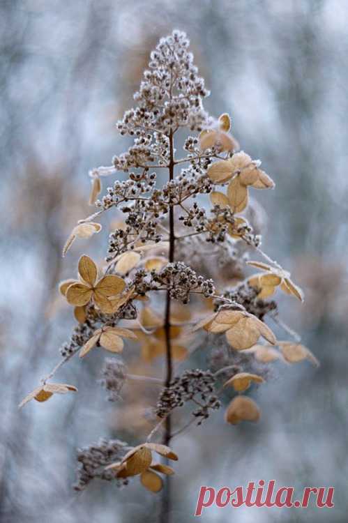 What if winter is not a place outside?