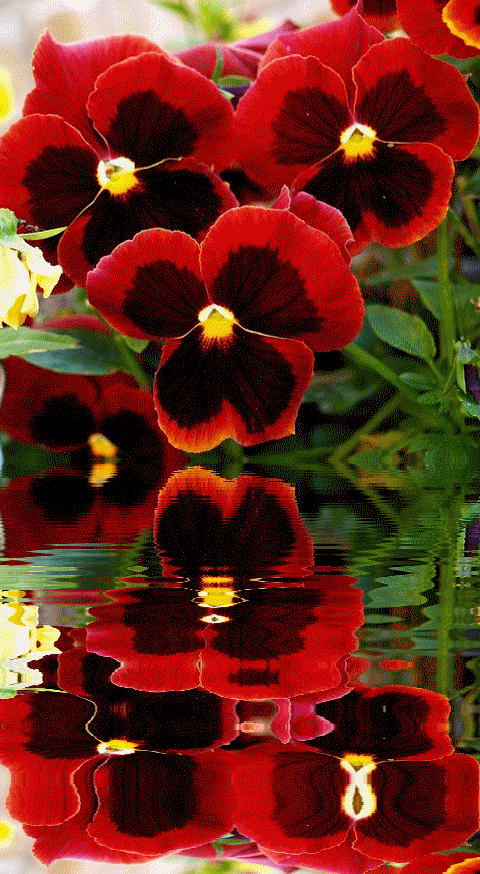 Kenneth Meacomes - Google+