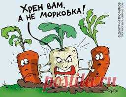 ЭТО СРЕДСТВО РЕАНИМИРУЕТ ДАЖЕ САМОЕ БЕЗНАДЕЖНОЕ РАСТЕНИЕ!!! - Садоводка