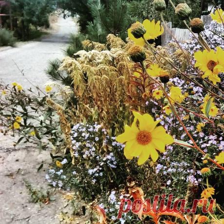 Количество увиденного меняет взгляды…
Эта строка из песни Миши Маваши, российского исполнителя, многое поясняет в том, как меняется мировоззрение человека, когда он расширяет границы своего опыта. Путешествия, общение, приобретение новых навыков, поиск лучшего для себя в жизни — всё это становится хорошим фундаментом для изменений. Человек видит жизнь сквозь призму своего опыта. И вызывает улыбку, когда говорится о том, […]
Читай дальше на сайте. Жми подробнее ➡