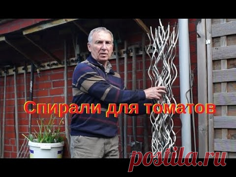 Как сделать спирали для томатов