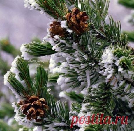 Комментарии к теме