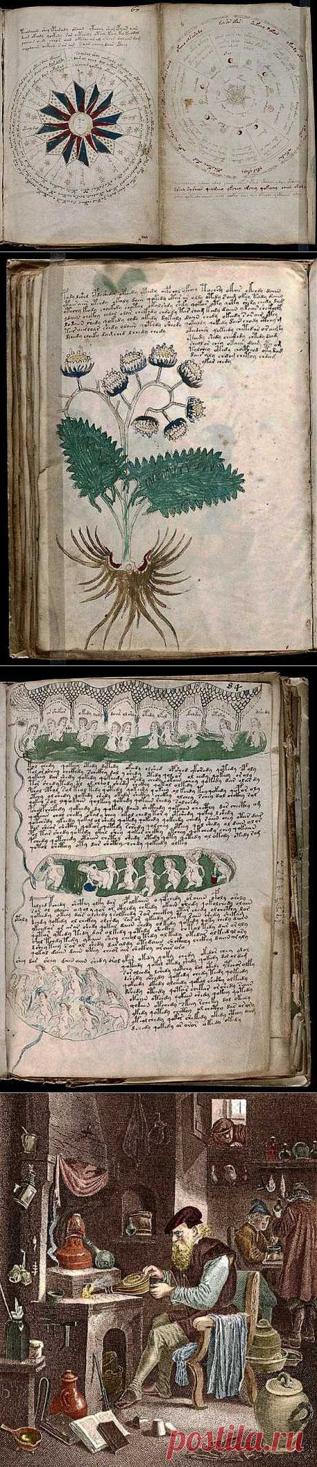 Игра ума. Самый таинственный манускрипт человечества близок к расшифровке | АРГУМЕНТ