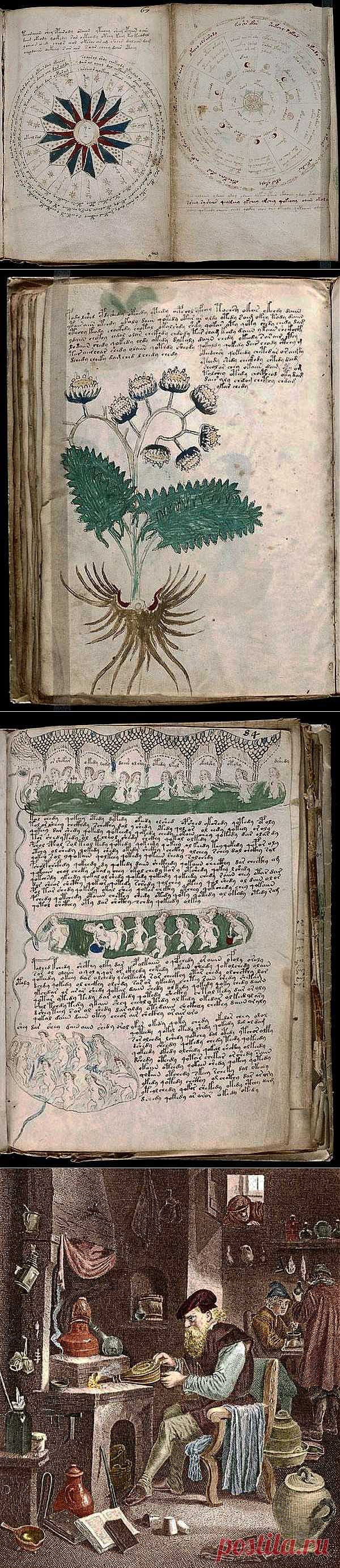 Игра ума. Самый таинственный манускрипт человечества близок к расшифровке | АРГУМЕНТ