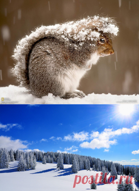 фото_обои *зима*