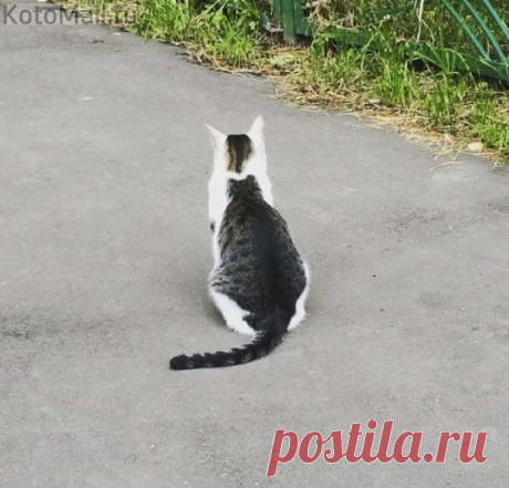 Природа постаралась