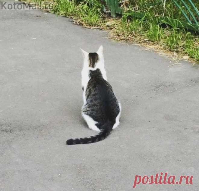 Природа постаралась