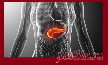 Некроз поджелудочной железы, какие причины у этой агрессивной формы острого панкреатита | Жизнь с новой почкой | Яндекс Дзен