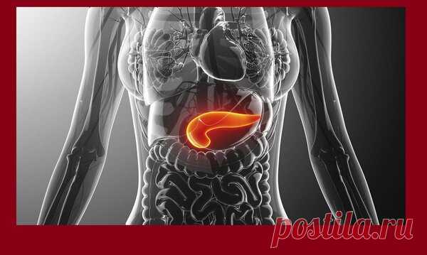 Некроз поджелудочной железы, какие причины у этой агрессивной формы острого панкреатита | Жизнь с новой почкой | Яндекс Дзен