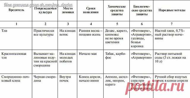Основные вредители овощных культур и меры борьбы с ними