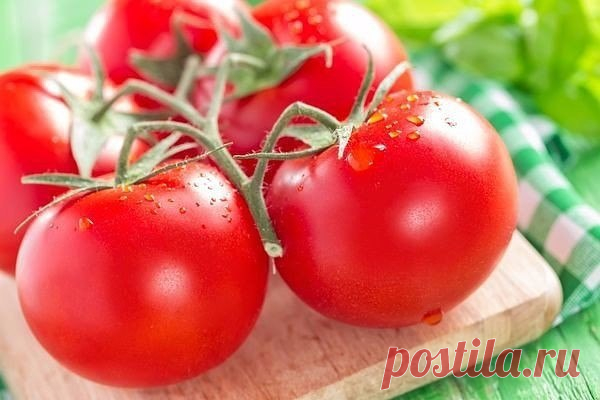7 МАЛЕНЬКИХ СЕКРЕТОВ ВЫРАЩИВАНИЯ ВКУСНЫХ ПОМИДОРОВ 
Ну, во-первых, надо определить — что значит вкусный помидор? Это мясистый, с тонкой шкуркой, сладкий, нежной мякотью, без неприятной кислинки, с характерным «вкусным» помидорным запахом плод. Согласны? 

Вкус помидора зависит от определённого соотношения сахаров и кислот. Чем меньше кислот и больше сахаров — тем вкуснее плоды. А где больше всего кислот? Правильно, в соке семенной камеры помидора! Следовательно, чем больше...