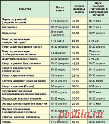 Календарь посадки рассады на 2020 год