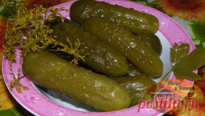 Огурцы соленые на зиму хрустящие в банках: для хранения в квартире и в погребе Каждый год всей семьей заготавливаем хрустящие соленые огурцы на зиму в банках: для хранения в квартире и в погребе. Засолка корнишонов у нас практикуется разная: холодным способом, с уксусом, без уксуса под железные и капроновые крышки. Поделюсь с вами секретом, как засаливать любимые огурчики, чтобы не взрывались.