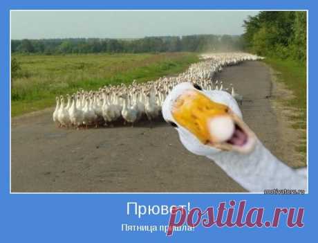 Анекдотики коротенькие, но симпатишные для хорошего настроения в пятницу