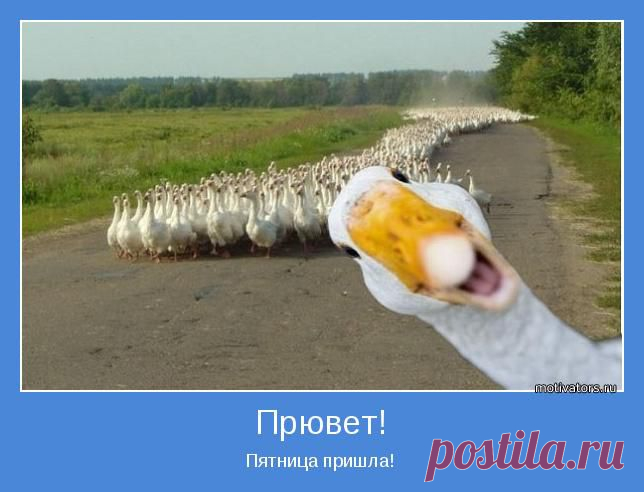 Анекдотики коротенькие, но симпатишные для хорошего настроения в пятницу