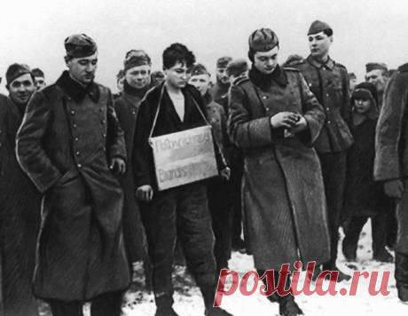 Кто сдал Зою Космодемьянскую, и как наказали предателей