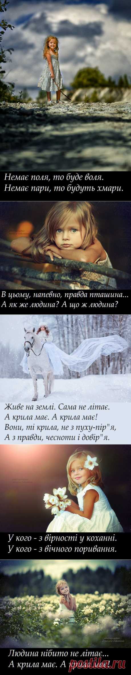 OWL Блюз - КРИЛА