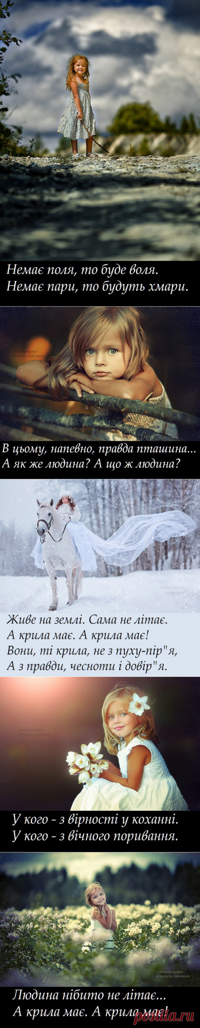 OWL Блюз - КРИЛА