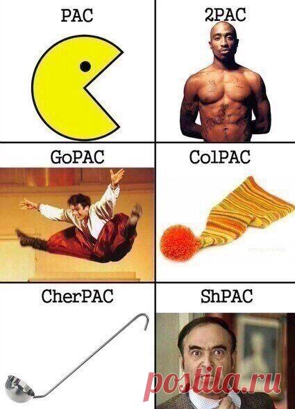 Какие разные ПАКи / Занимательная реклама