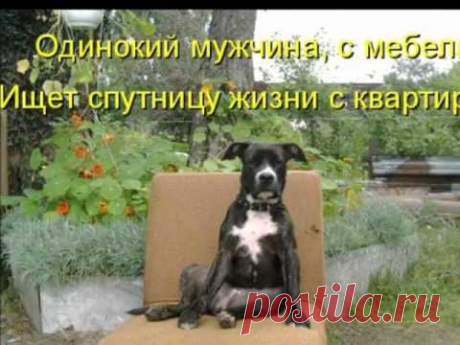 Улыбнись))) Ведь тебя,кто то любит!!!