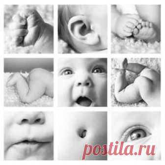 Adorable collage!!!!