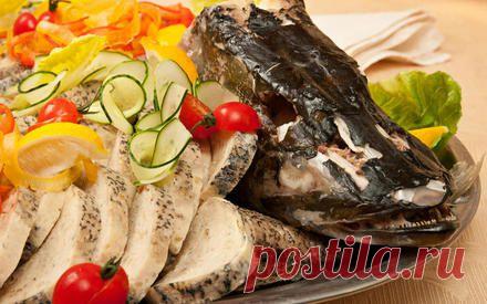 Как приготовить фаршированную щуку? Рецепты белорусской глубинки | SUPRA – мы говорим на одном языке