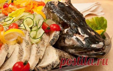 Как приготовить фаршированную щуку? Рецепты белорусской глубинки | SUPRA – мы говорим на одном языке