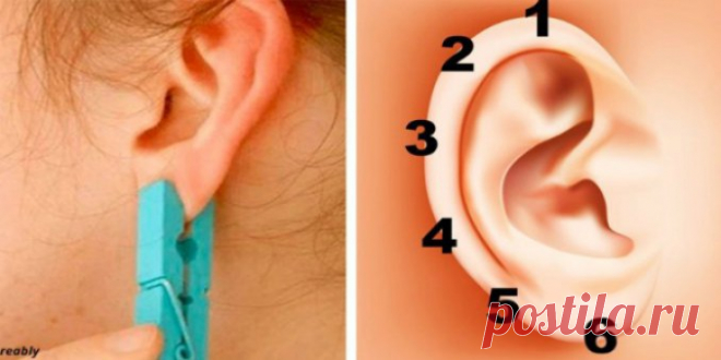 Китайский прием: волшебные точки вашего уха — Копилочка полезных советов