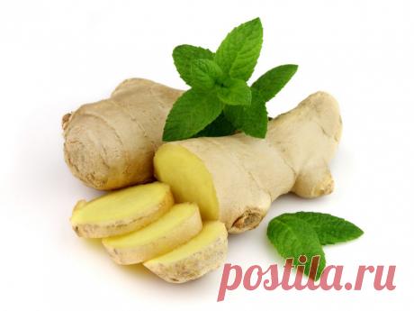 Как навсегда забыть о сонливости днём! | Соратники