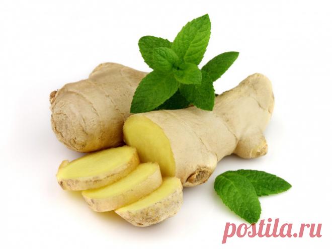 Как навсегда забыть о сонливости днём! | Соратники