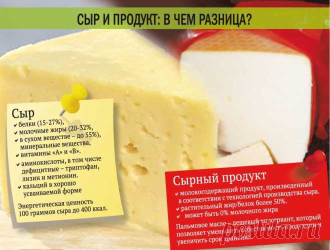5 способов отличить натуральный сыр от подделки