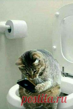 PRICELESS!