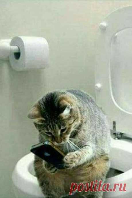 PRICELESS!